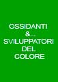 Ossidanti & Sviluppatori del colore